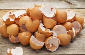 К чему снятся сырые куриные яйца без скорлупы